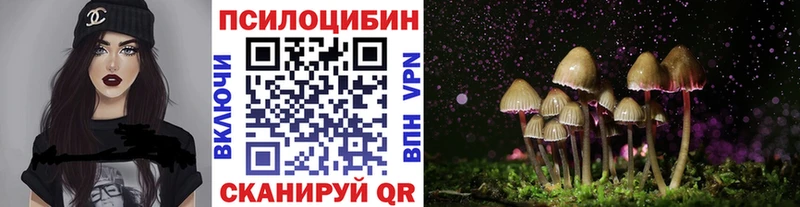 Псилоцибиновые грибы мицелий  Купить где  Боровичи 